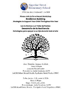 psw workshop